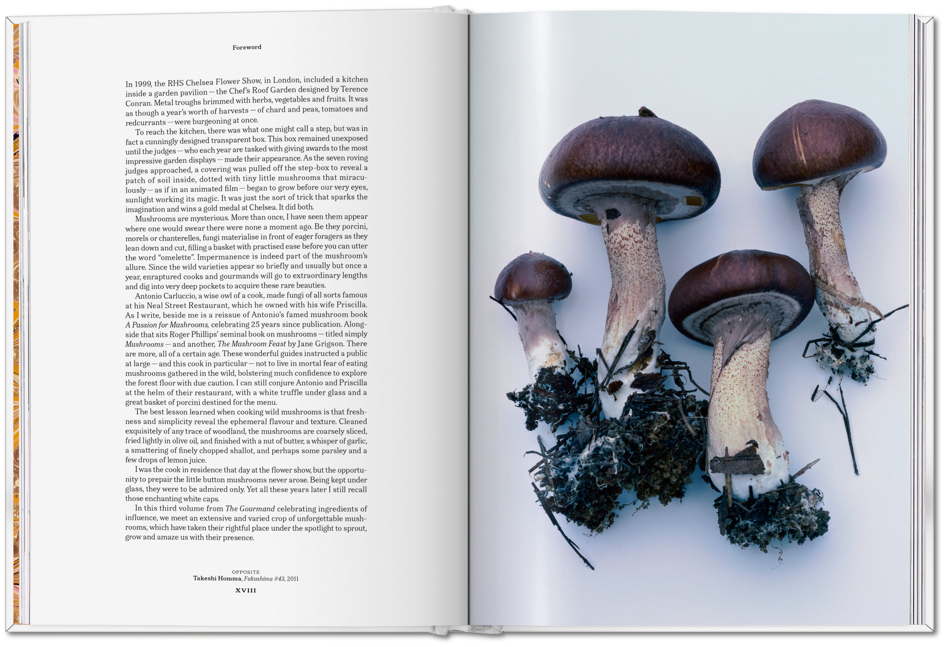 The Gourmand's Mushroom. A Collection of Stories and Recipes
