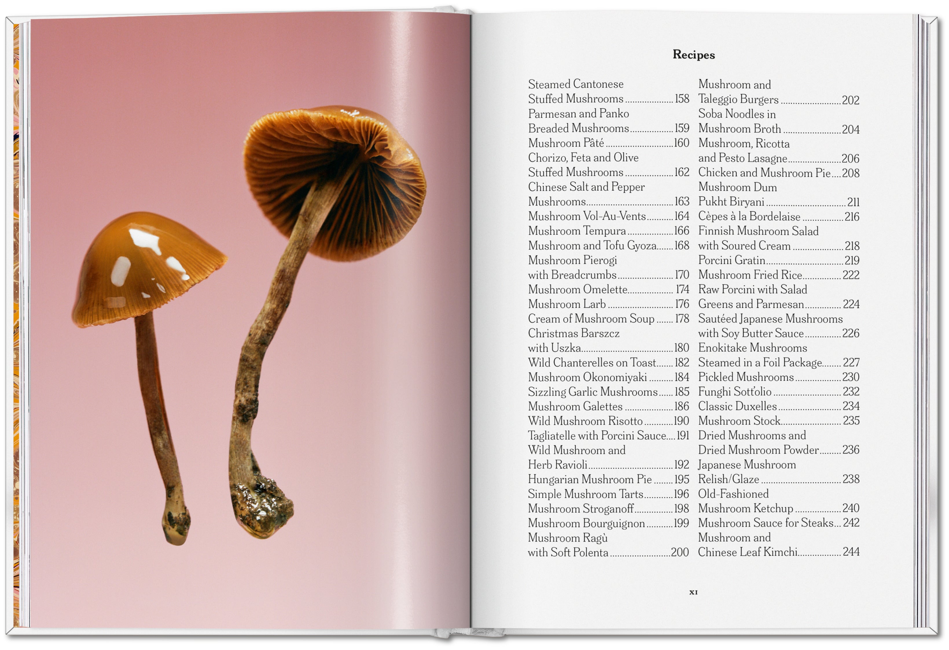 The Gourmand's Mushroom. A Collection of Stories and Recipes