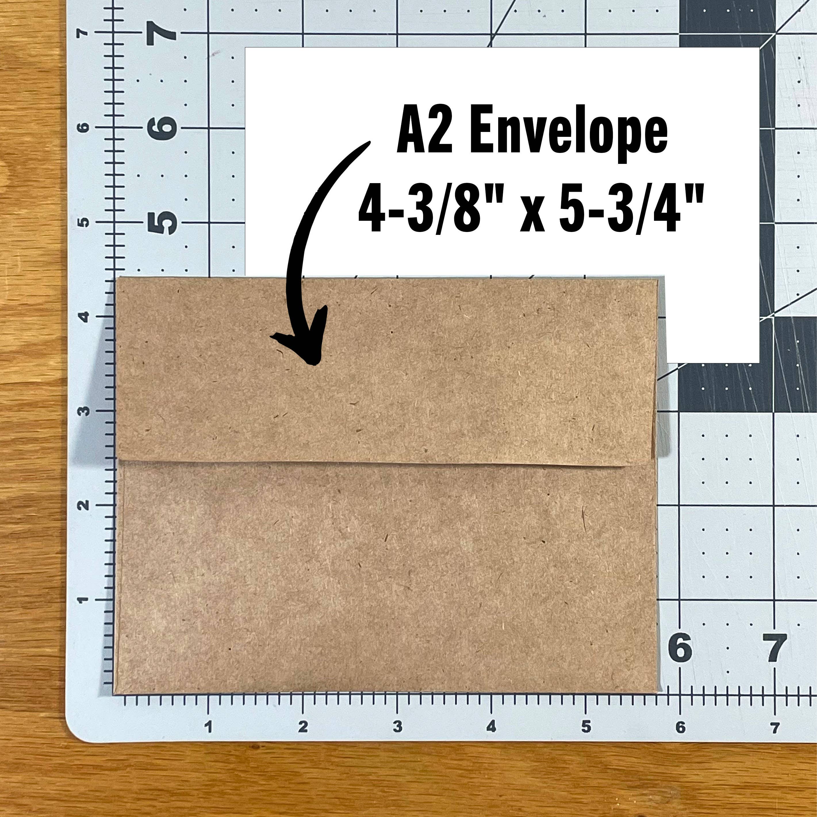Spoiler Alert He Dies Funny Christmas Card