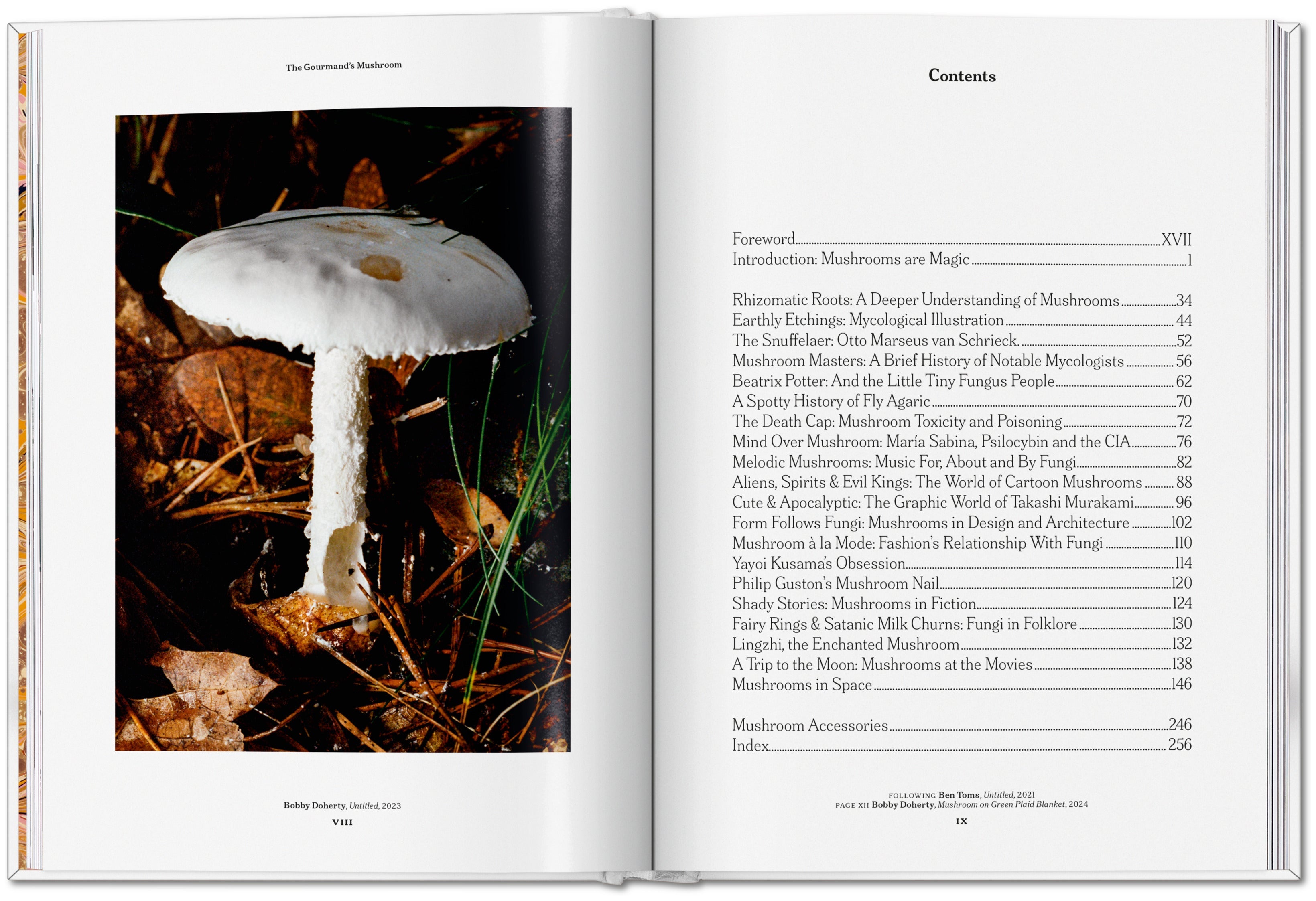 The Gourmand's Mushroom. A Collection of Stories and Recipes
