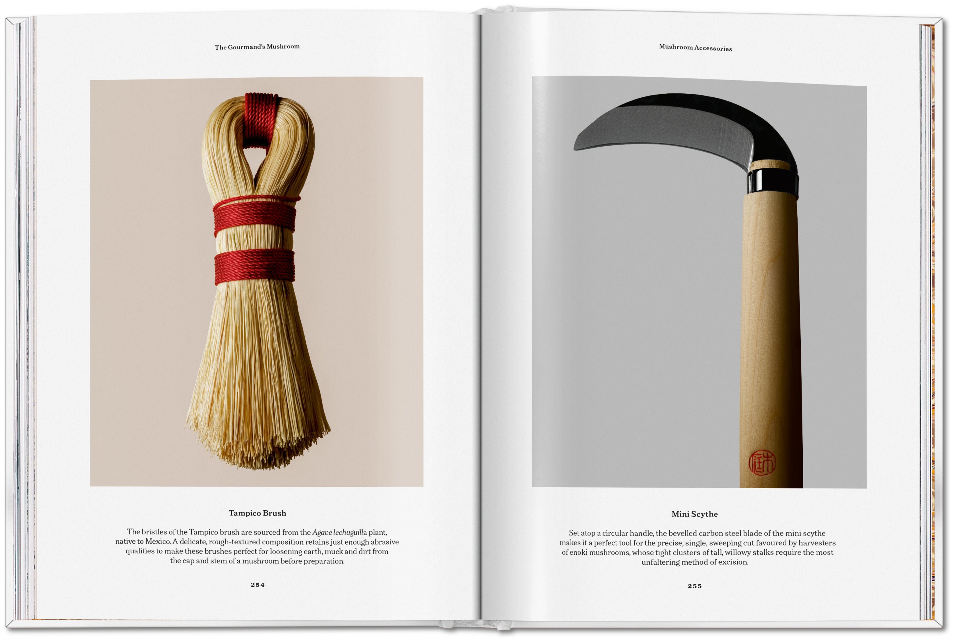 The Gourmand's Mushroom. A Collection of Stories and Recipes
