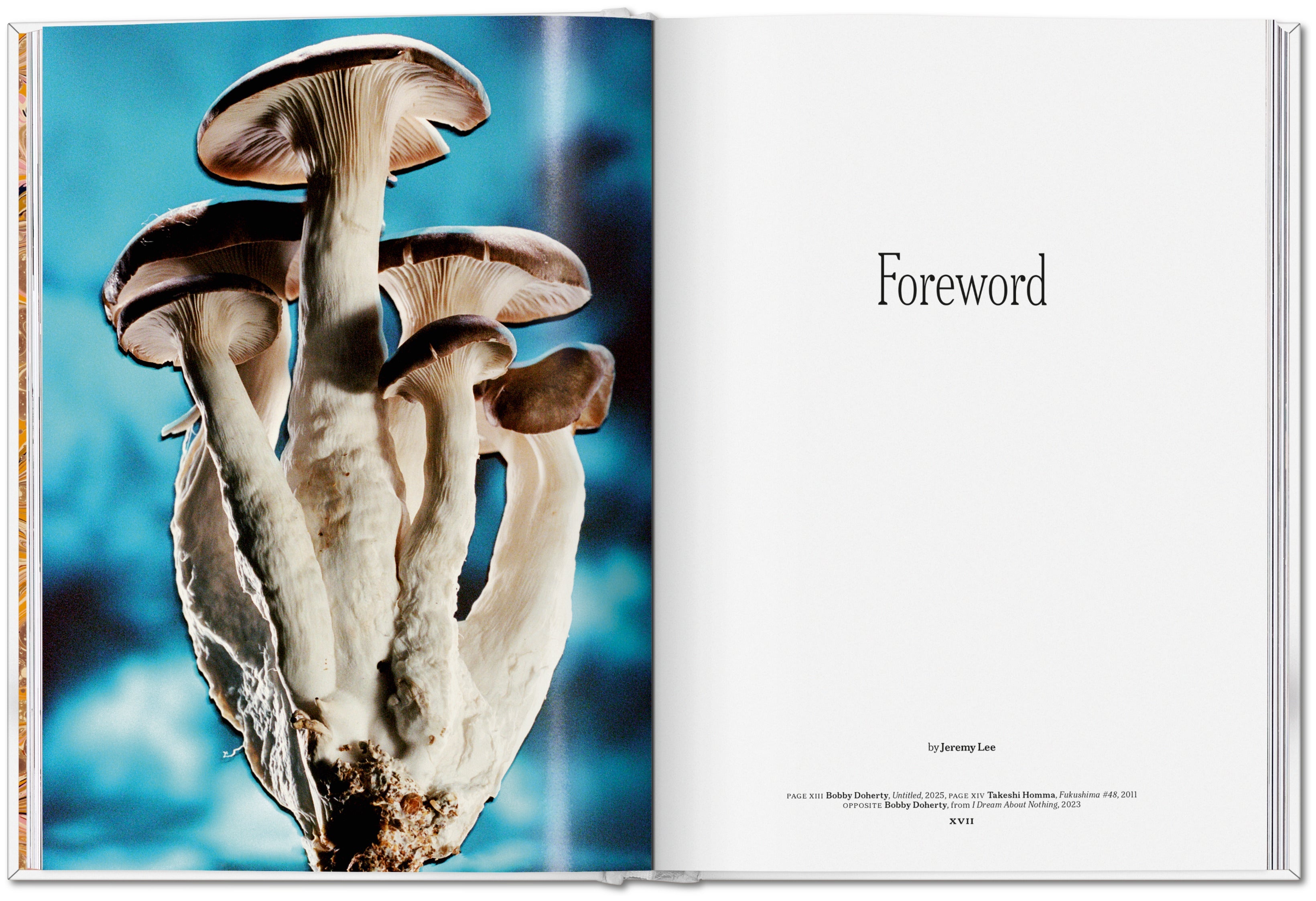 The Gourmand's Mushroom. A Collection of Stories and Recipes
