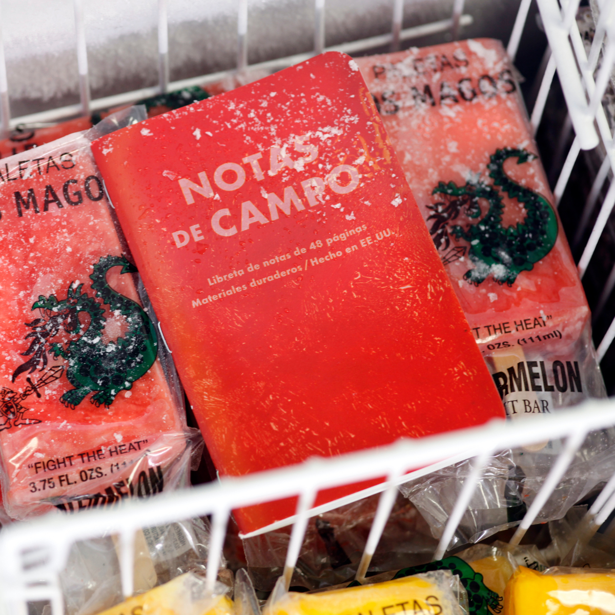 Field Notes Paletas Memo Book (Summer 2026 Limited Edition)