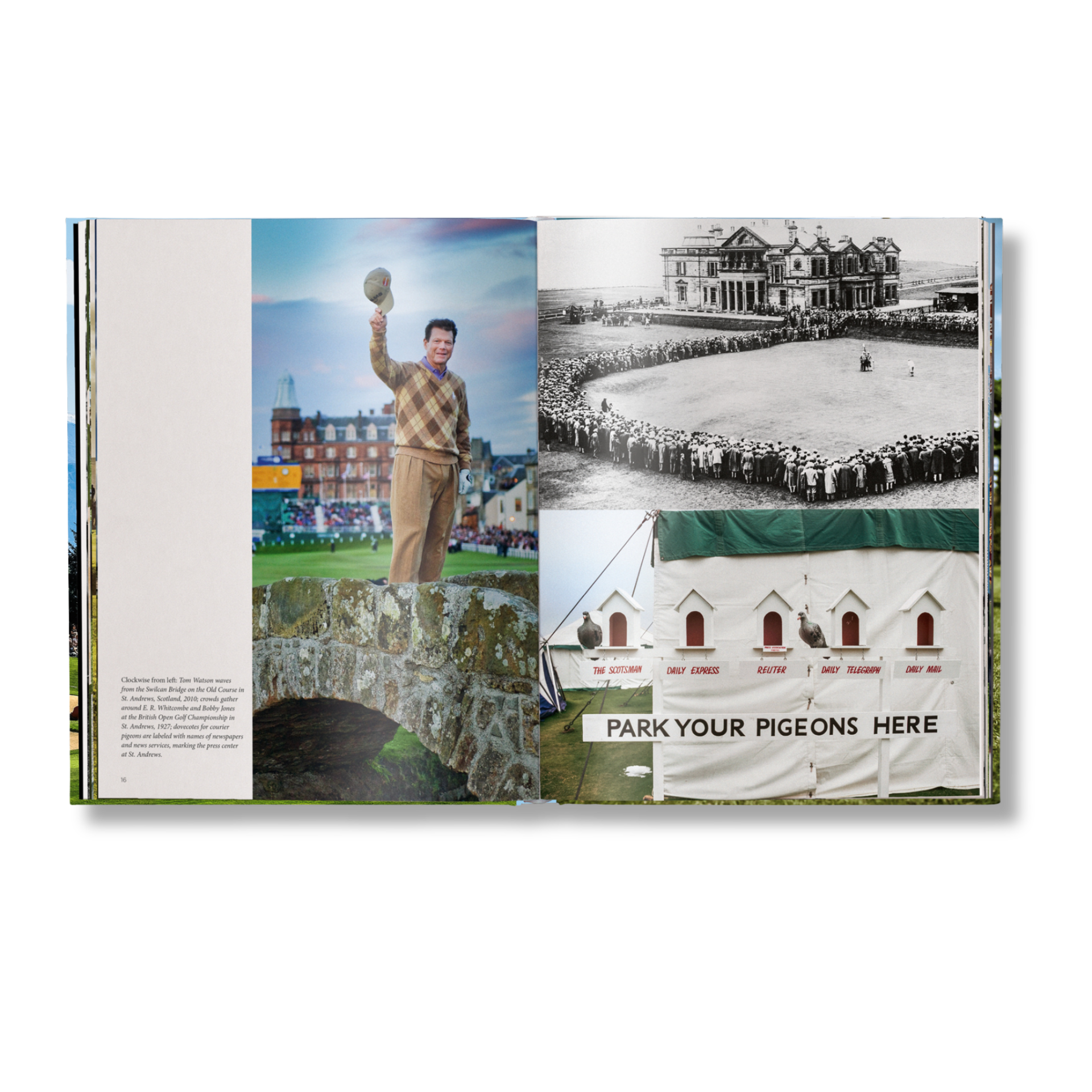 The Stylish Life: Golf