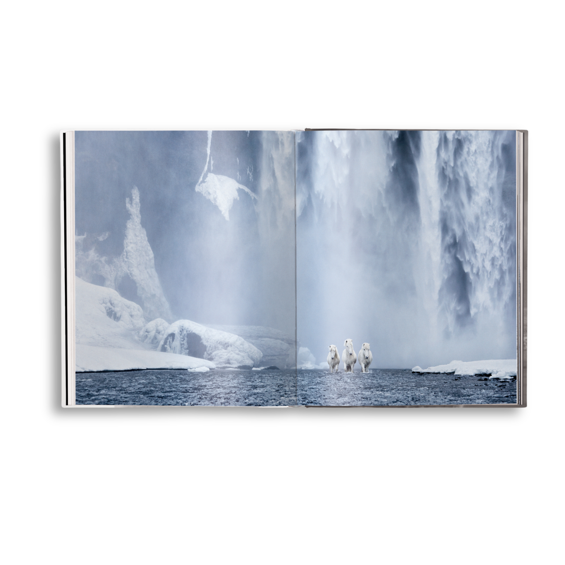 Untamed Spirits: Horses From Around the World