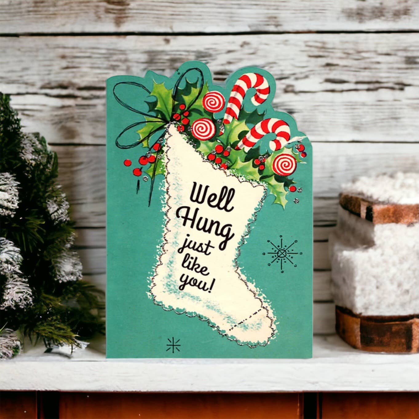 Well Hung Just Like You Funny Christmas Card