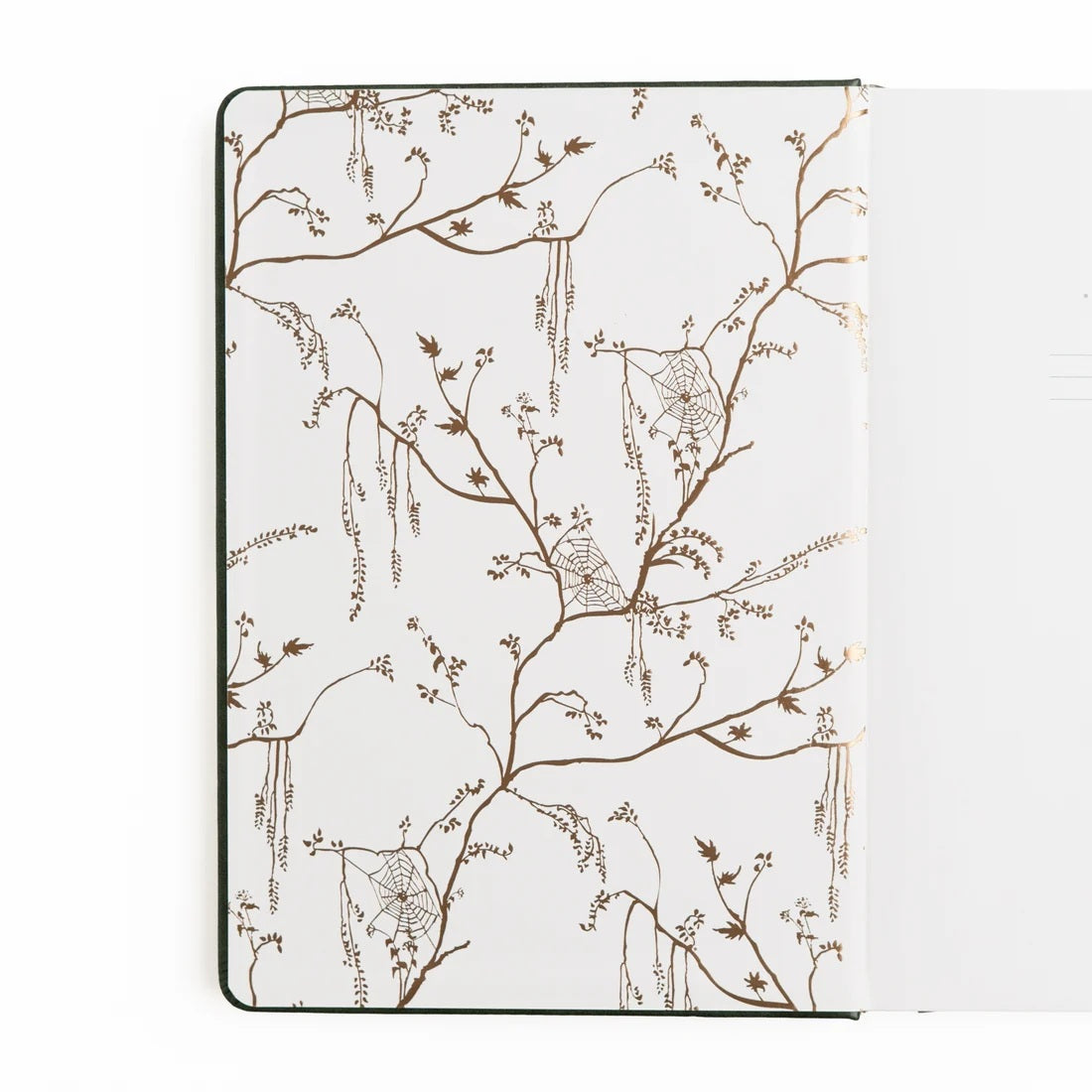 Apothecary Shelf Dot Grid Notebook