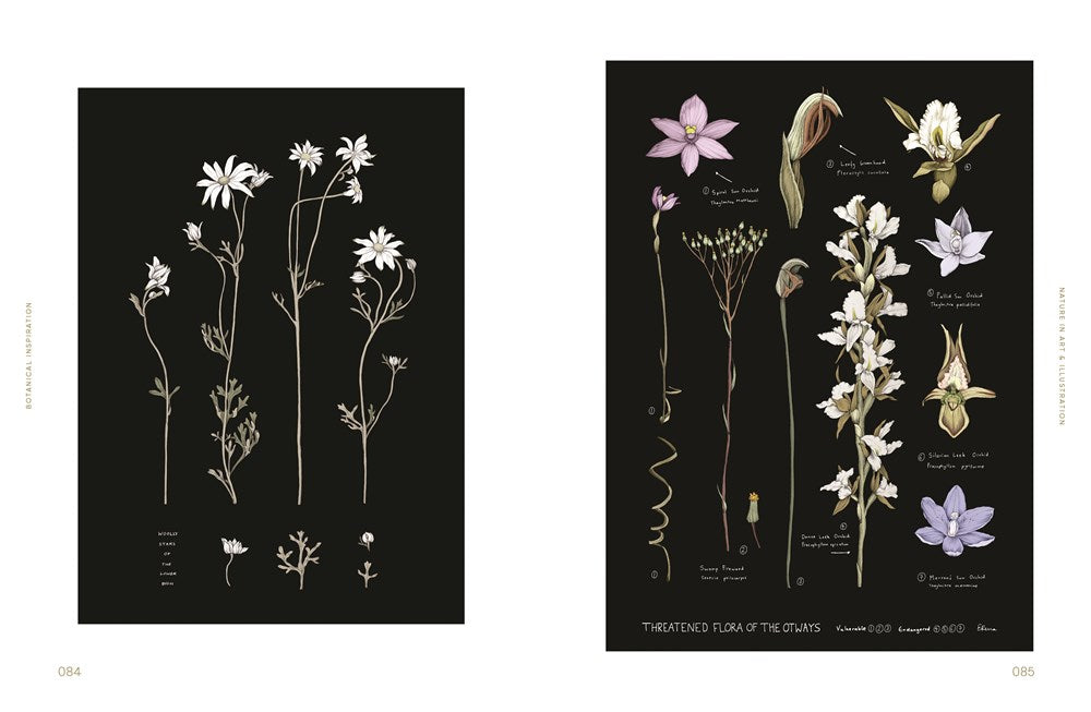 Botanical Inspiration: Nature in Art and Illustration