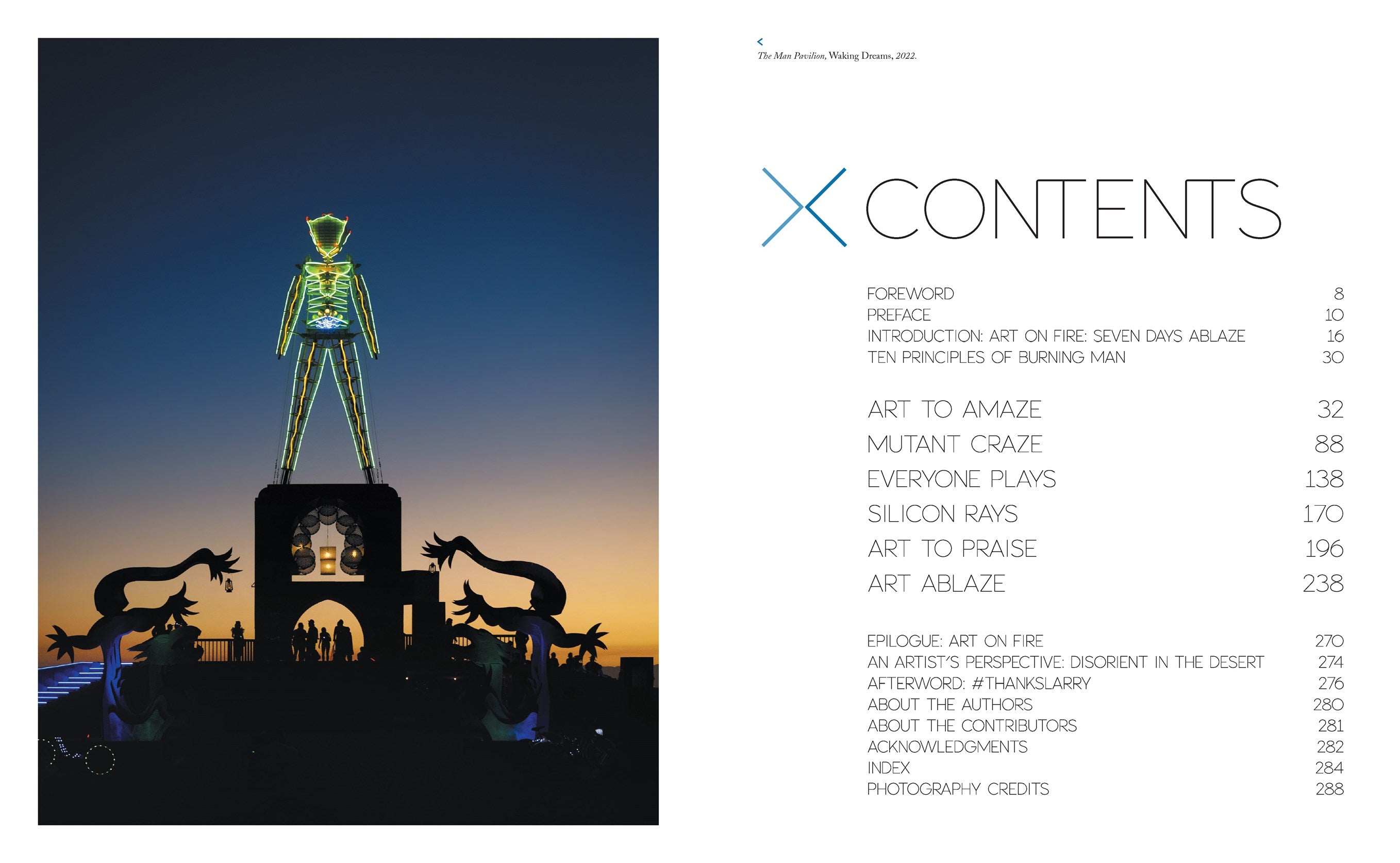 Burning Man: Art on Fire: Revised and Updated Edition
