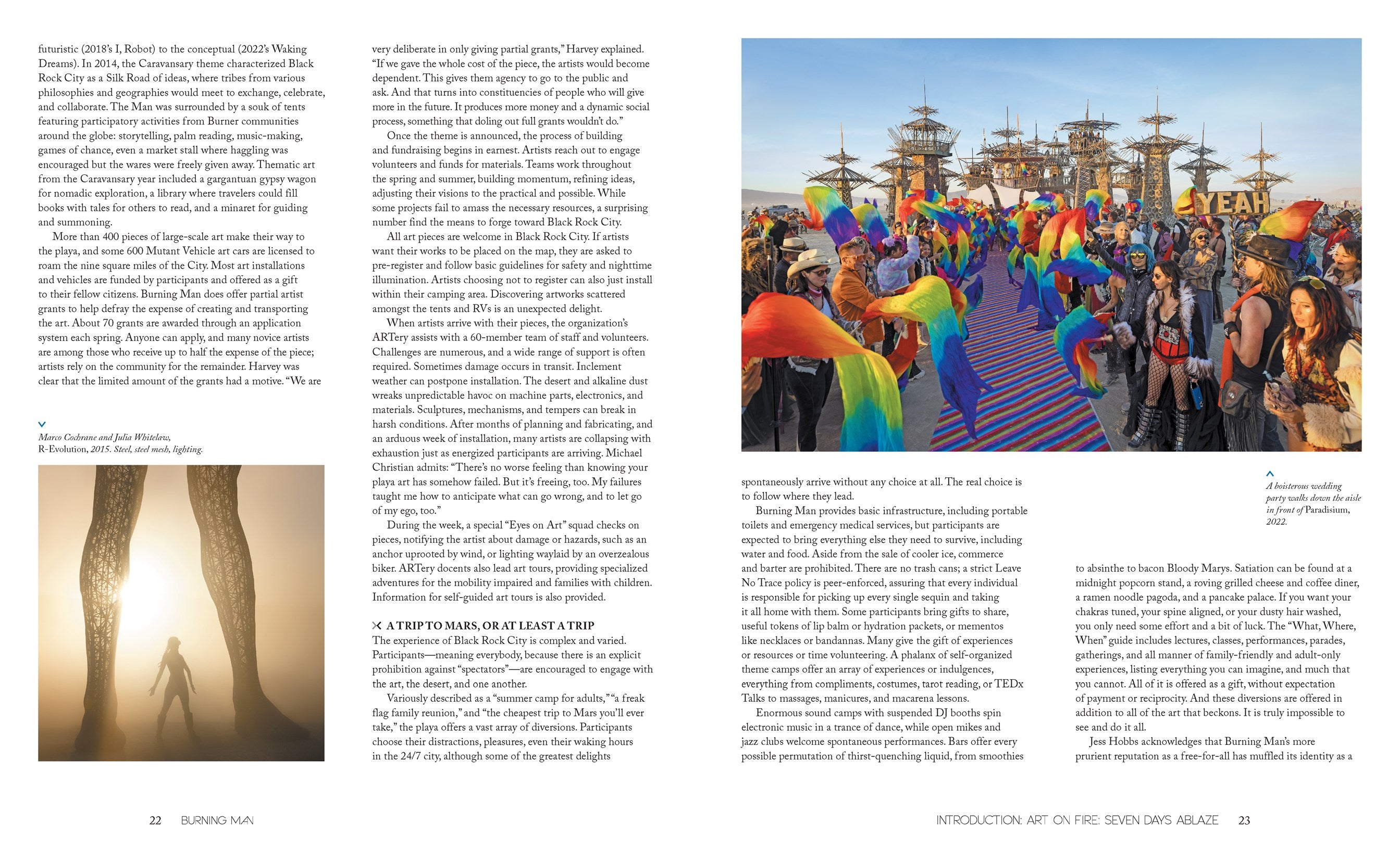 Burning Man: Art on Fire: Revised and Updated Edition