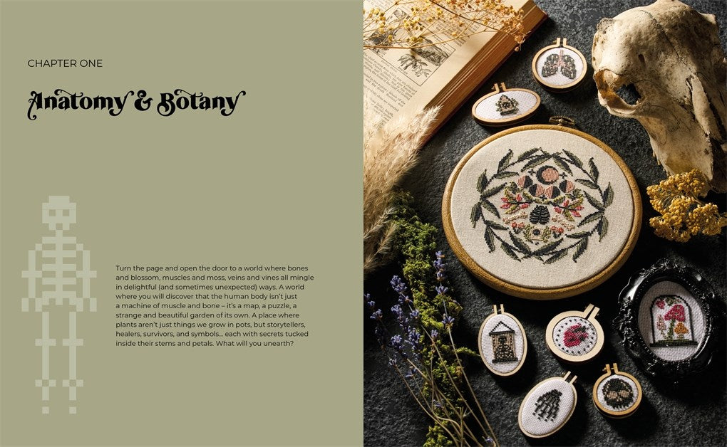 Cross Stitch Cabinet of Curiosities: 500 Magical Motifs and Peculiar Patterns