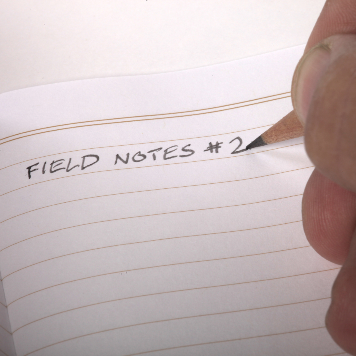 Field Notes No. 2 Woodgrain Pencil 6-Pack