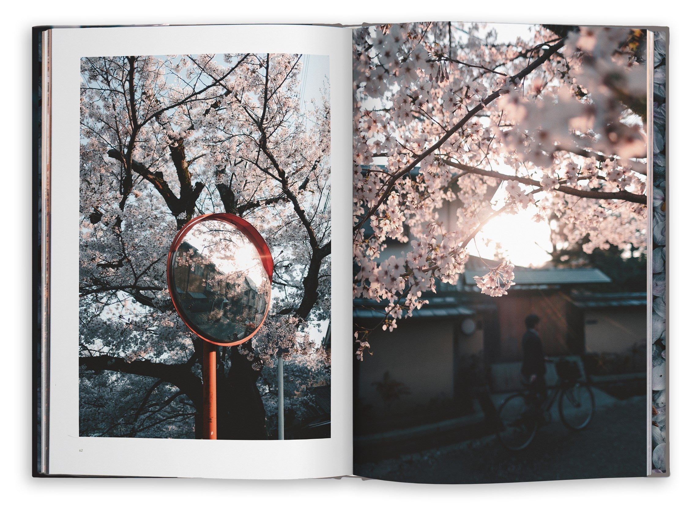 Kyoto Dreaming