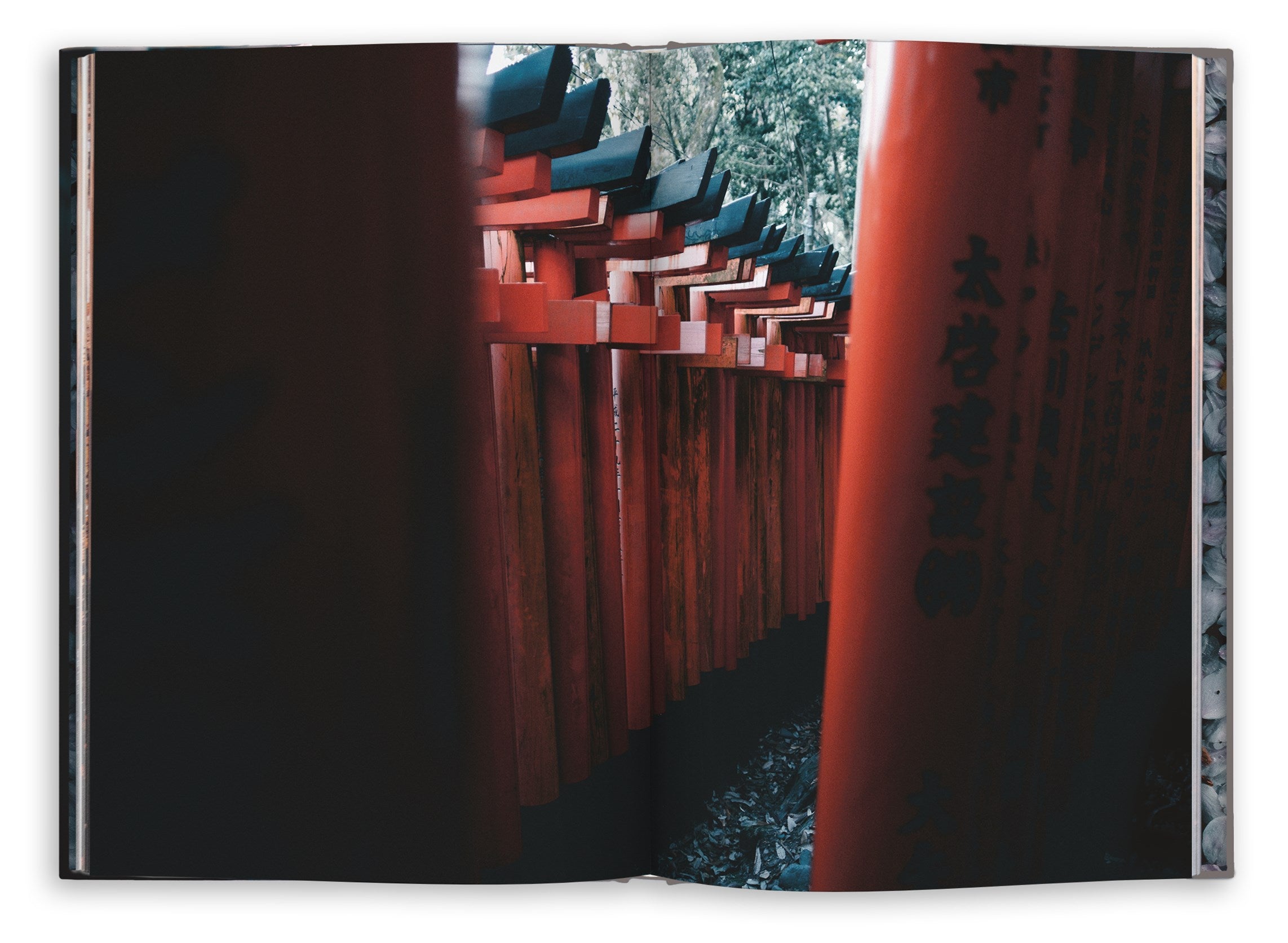 Kyoto Dreaming