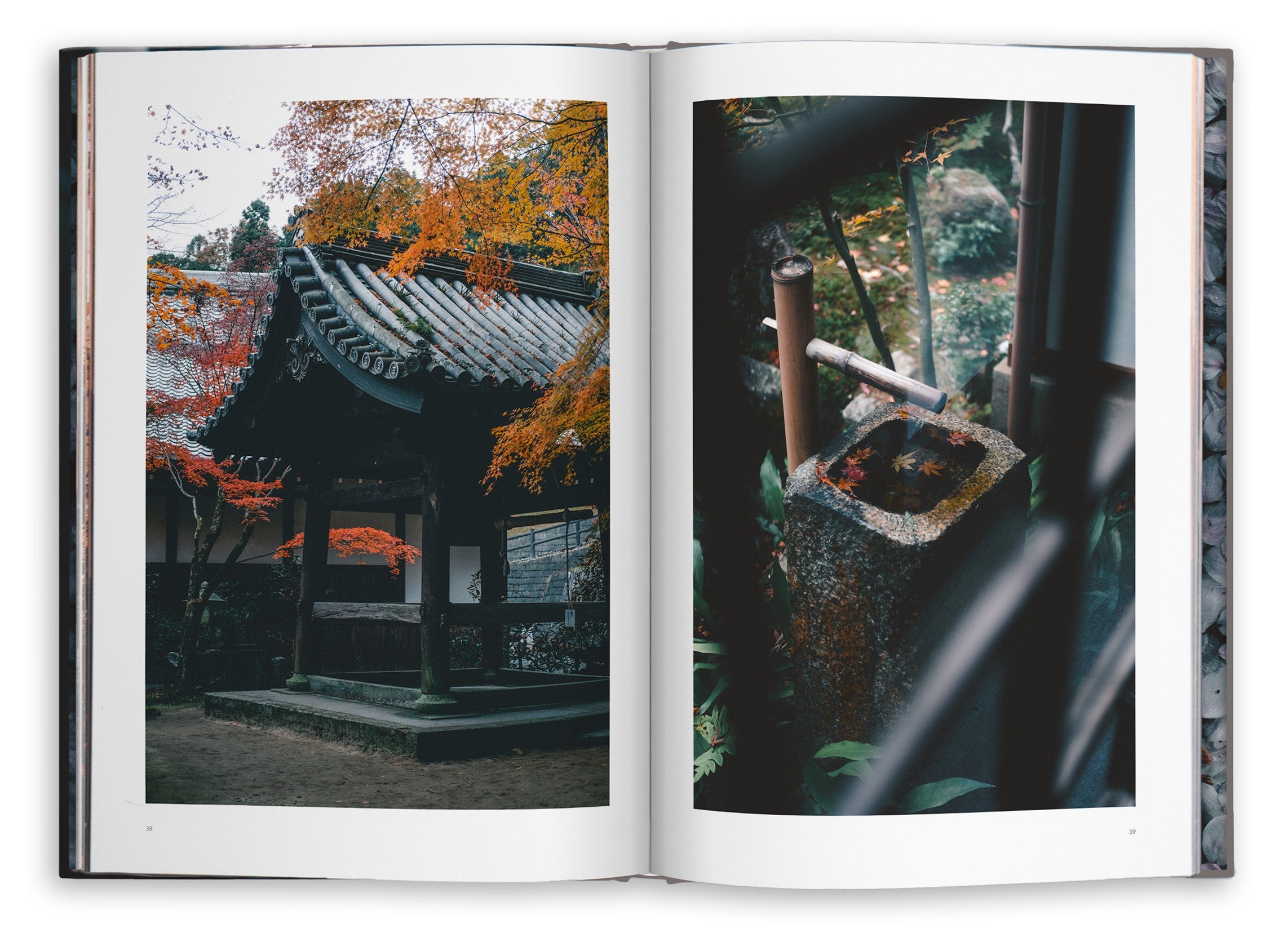 Kyoto Dreaming
