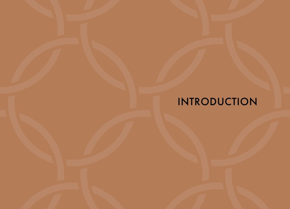 Little Book of Celine: The Story of the Iconic Fashion House