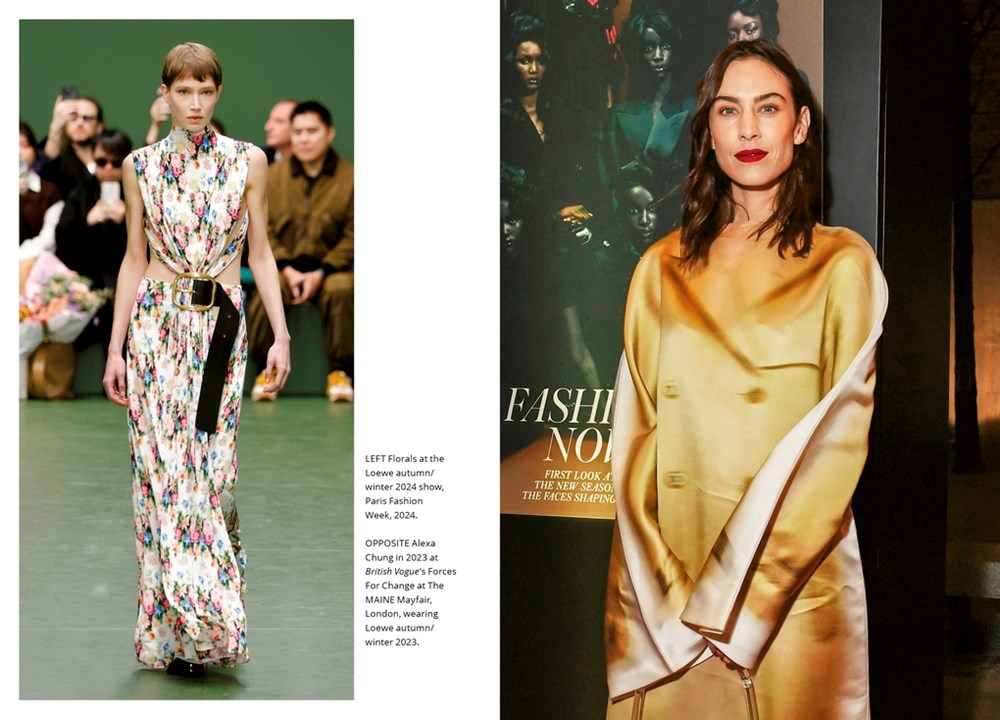 Little Book of Loewe