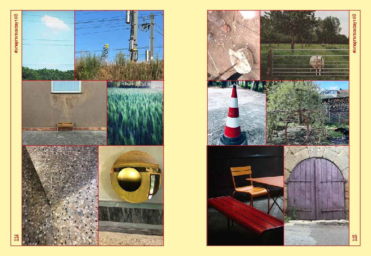 One Photo a Day Keeps the Doctor Away: Inspiring Ways to Slow Down and Look Around