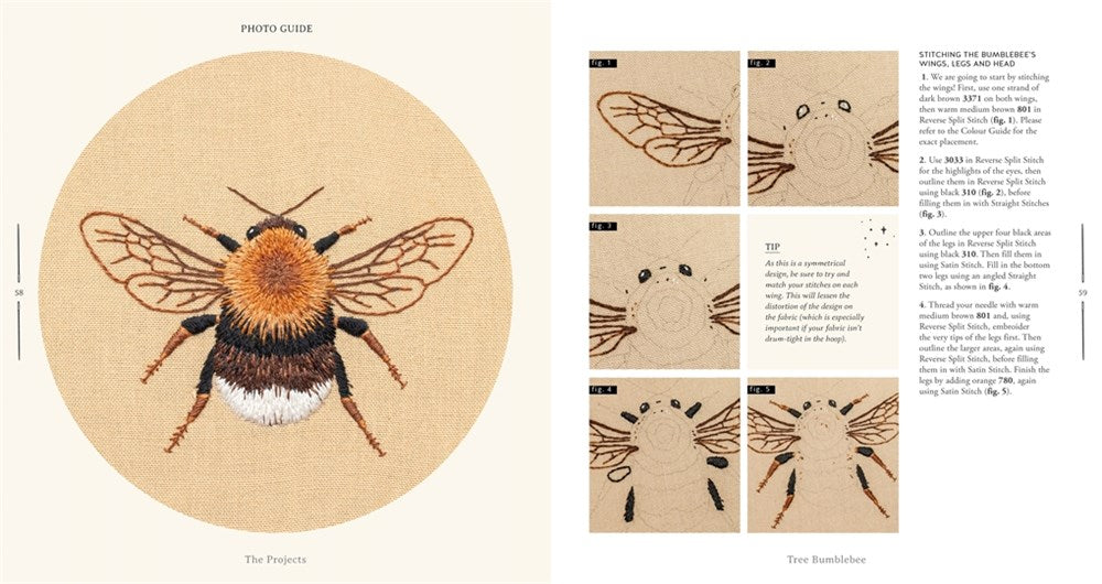 Paint with Thread: In the Garden: A Step-By-Step Guide to Embroidery