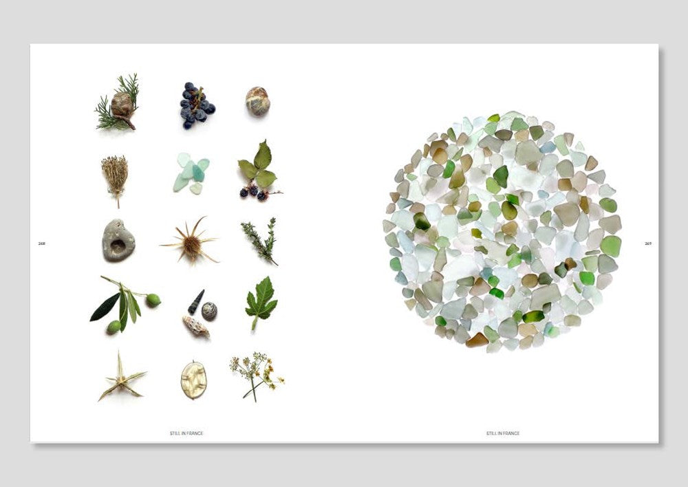 Still: The Art of Noticing