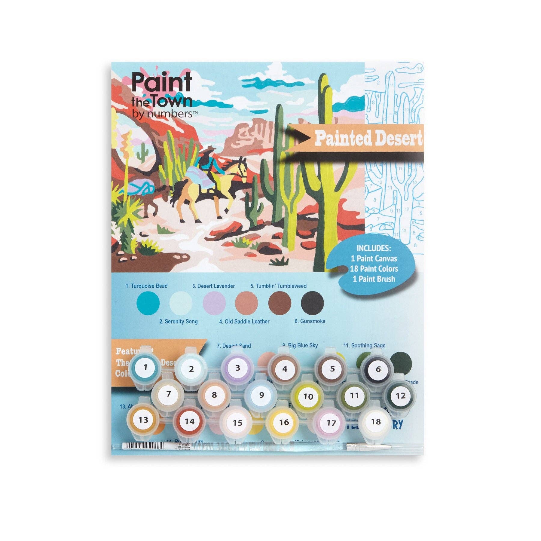 Painted Desert Paint by Number Kit