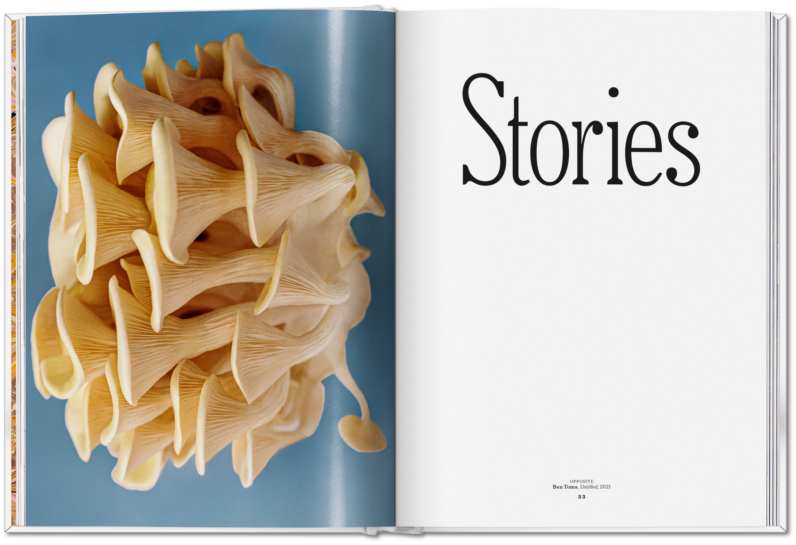 The Gourmand's Mushroom. A Collection of Stories and Recipes