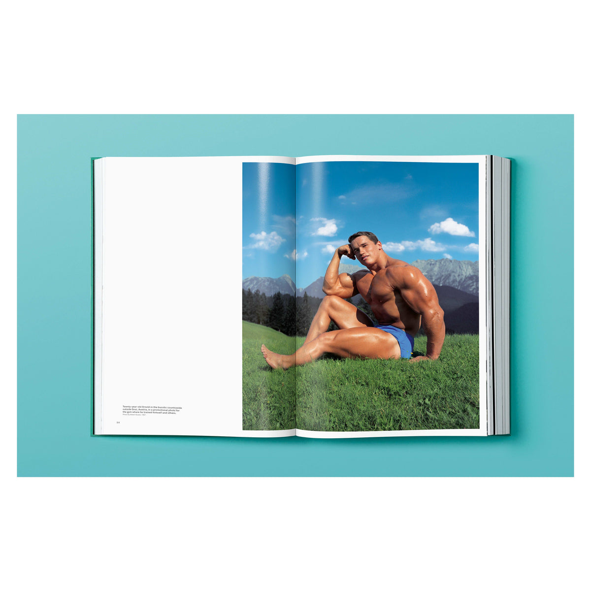 ARNOLD by Dian Hanson TASCHEN Arnold Schwarzenegger photography book