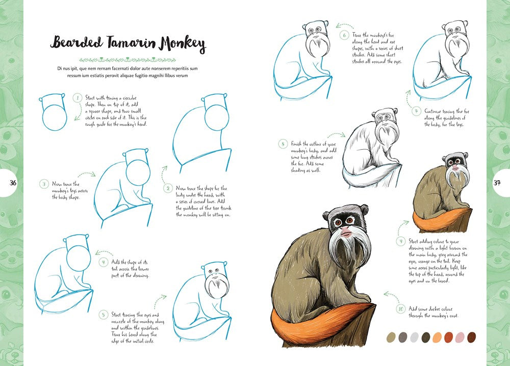 10 Step Drawing: Cute Animals: 'Draw Over 50 Adorable Animals in 10 Easy Steps