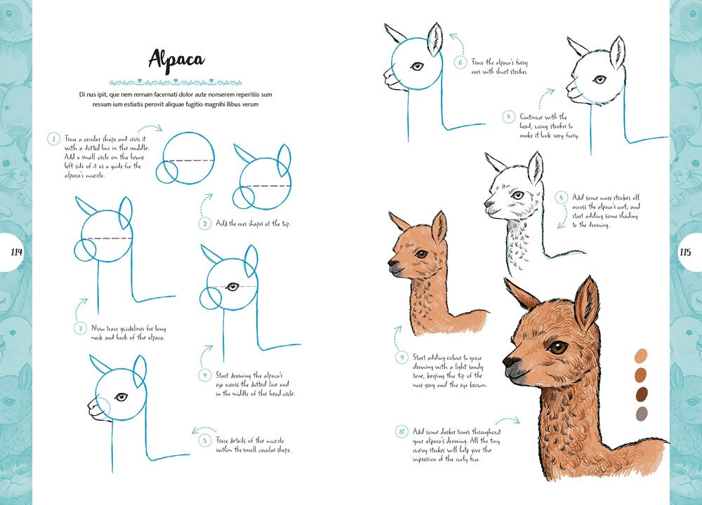 10 Step Drawing: Cute Animals: 'Draw Over 50 Adorable Animals in 10 Easy Steps