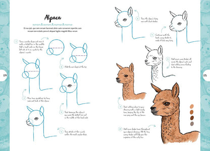 10 Step Drawing: Cute Animals: 'Draw Over 50 Adorable Animals in 10 Easy Steps