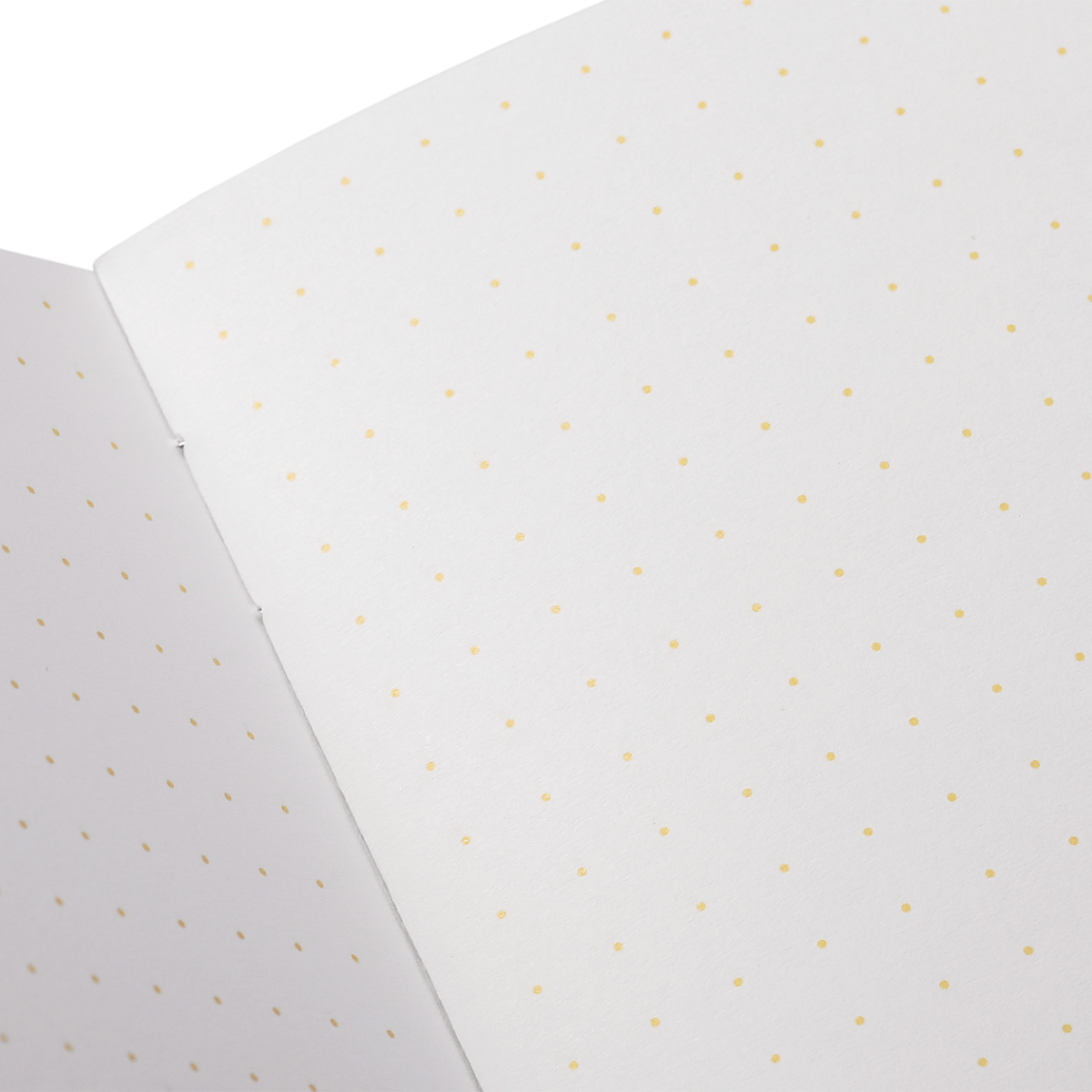 Field Notes Paletas Memo Book (Summer 2026 Limited Edition)