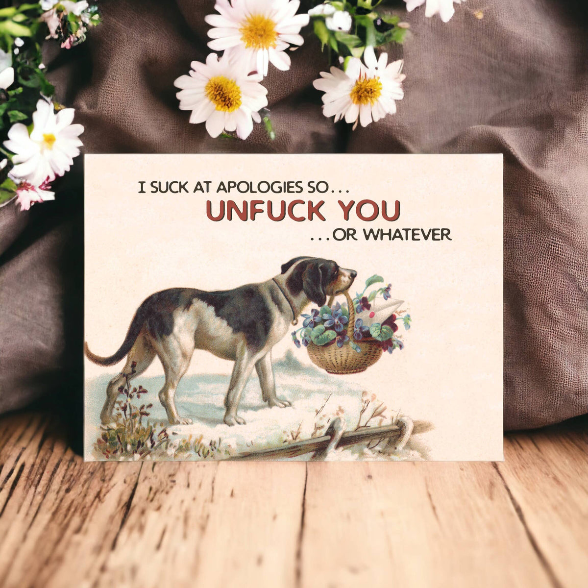 I Suck at Apologies Greeting Card