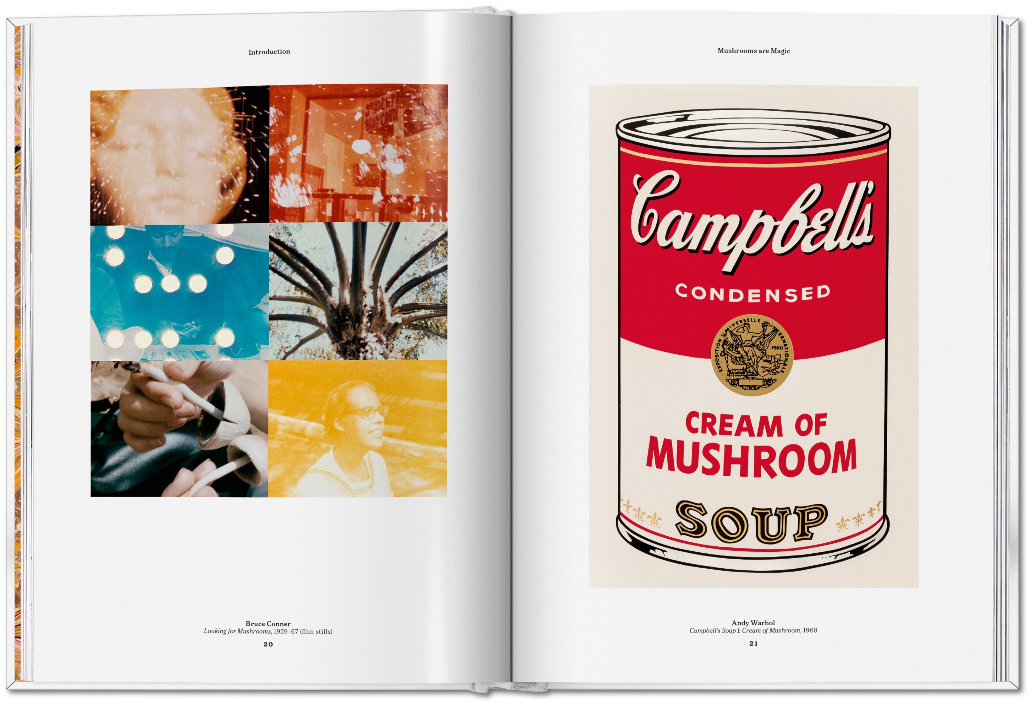 The Gourmand's Mushroom. A Collection of Stories and Recipes