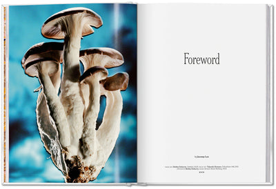 The Gourmand's Mushroom. A Collection of Stories and Recipes