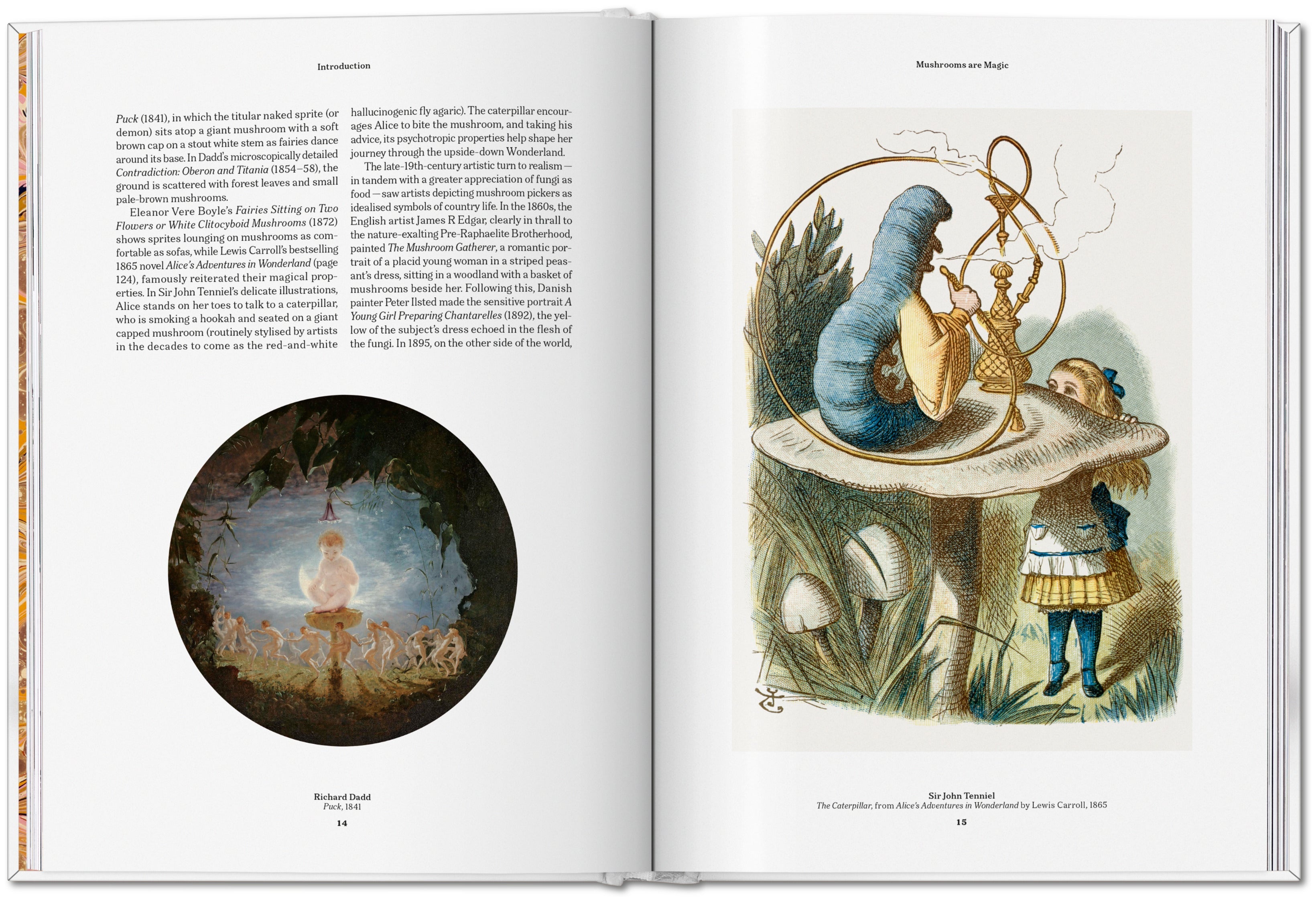 The Gourmand's Mushroom. A Collection of Stories and Recipes