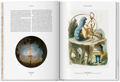 The Gourmand's Mushroom. A Collection of Stories and Recipes