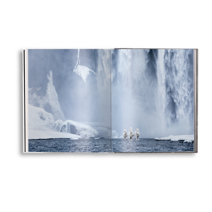 Untamed Spirits: Horses From Around the World