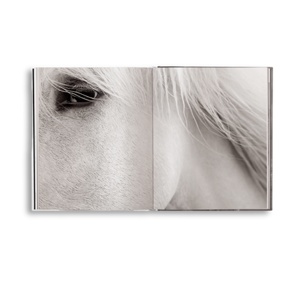 Untamed Spirits: Horses From Around the World