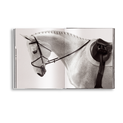 Untamed Spirits: Horses From Around the World