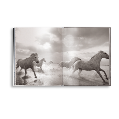 Untamed Spirits: Horses From Around the World