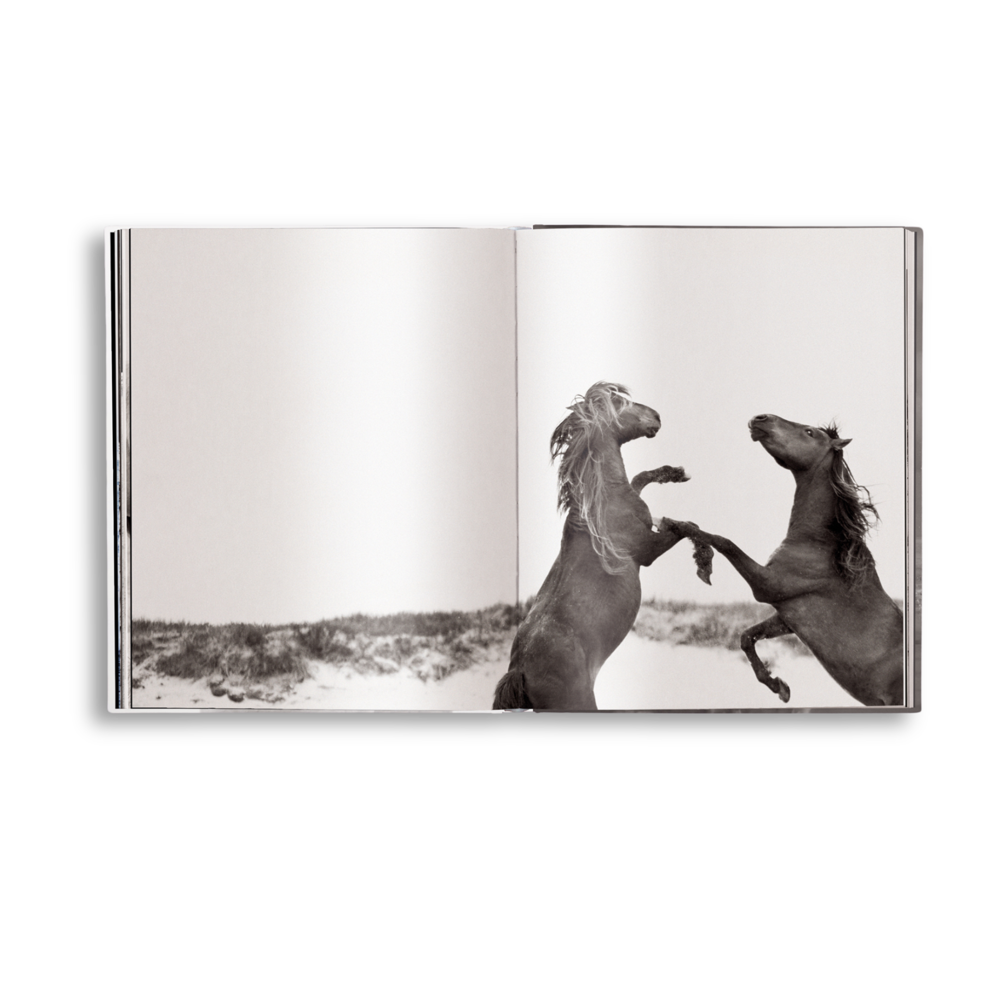 Untamed Spirits: Horses From Around the World