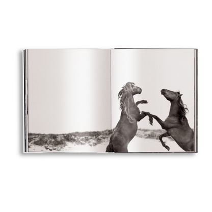 Untamed Spirits: Horses From Around the World