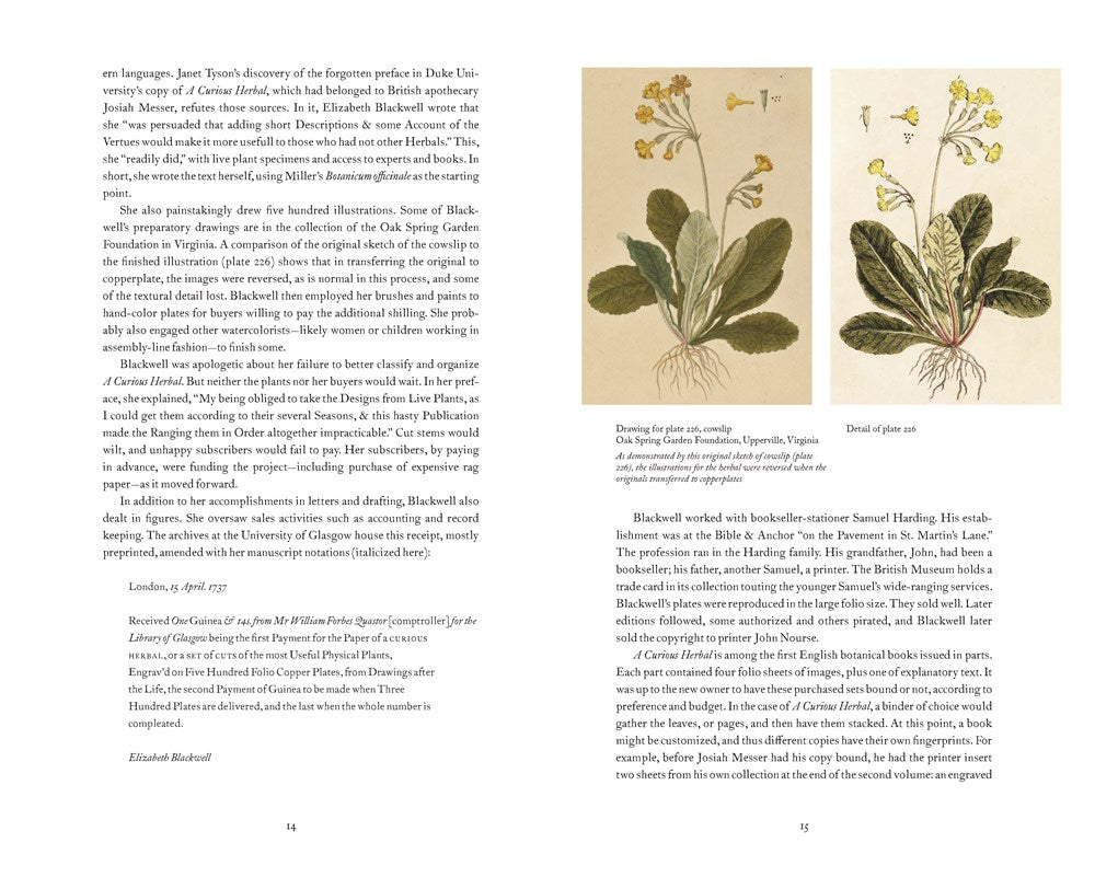 A Curious Herbal : Elizabeth Blackwell's Pioneering Masterpiece of Botanical Art