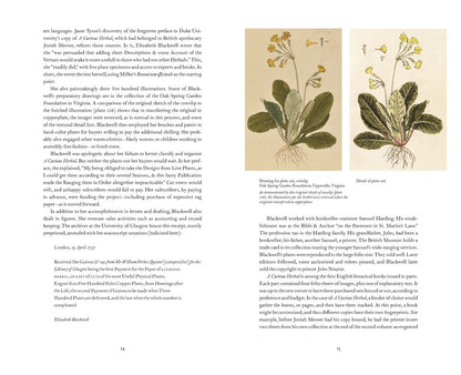 A Curious Herbal : Elizabeth Blackwell's Pioneering Masterpiece of Botanical Art