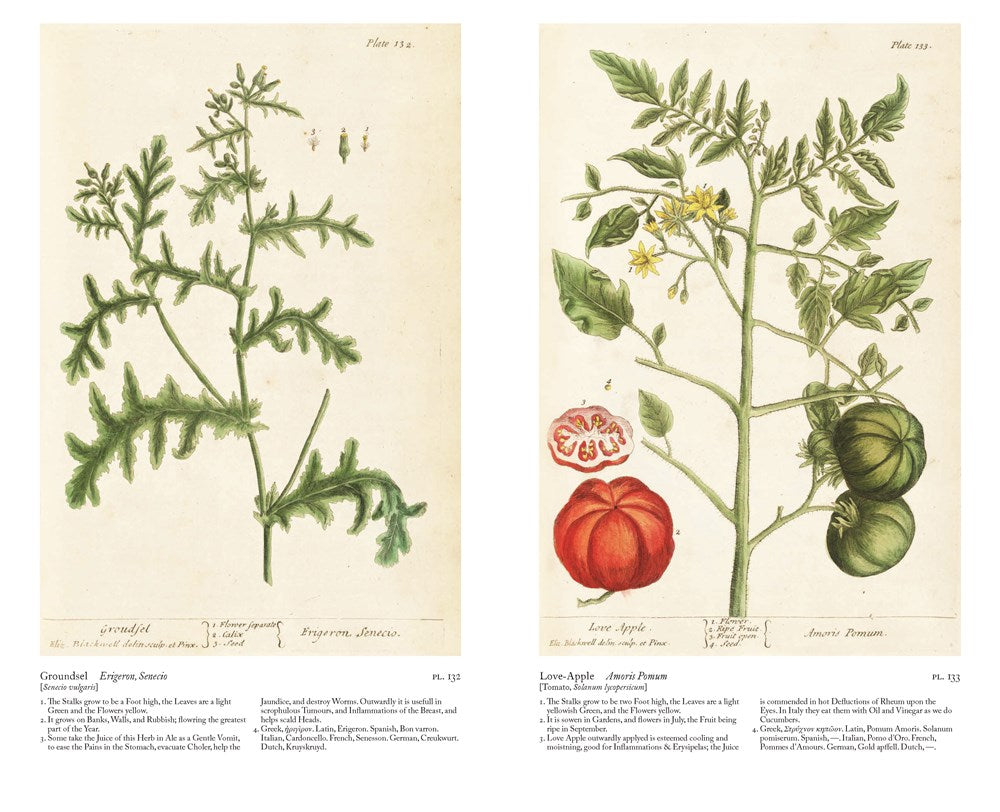 A Curious Herbal : Elizabeth Blackwell's Pioneering Masterpiece of Botanical Art