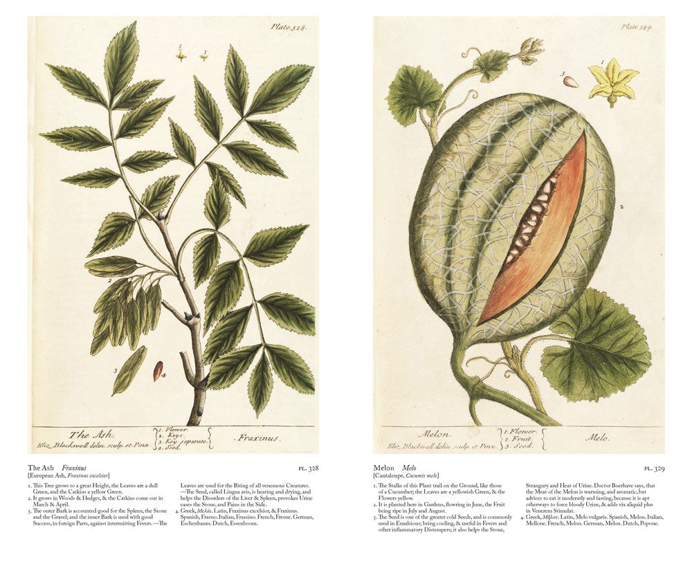 A Curious Herbal : Elizabeth Blackwell's Pioneering Masterpiece of Botanical Art