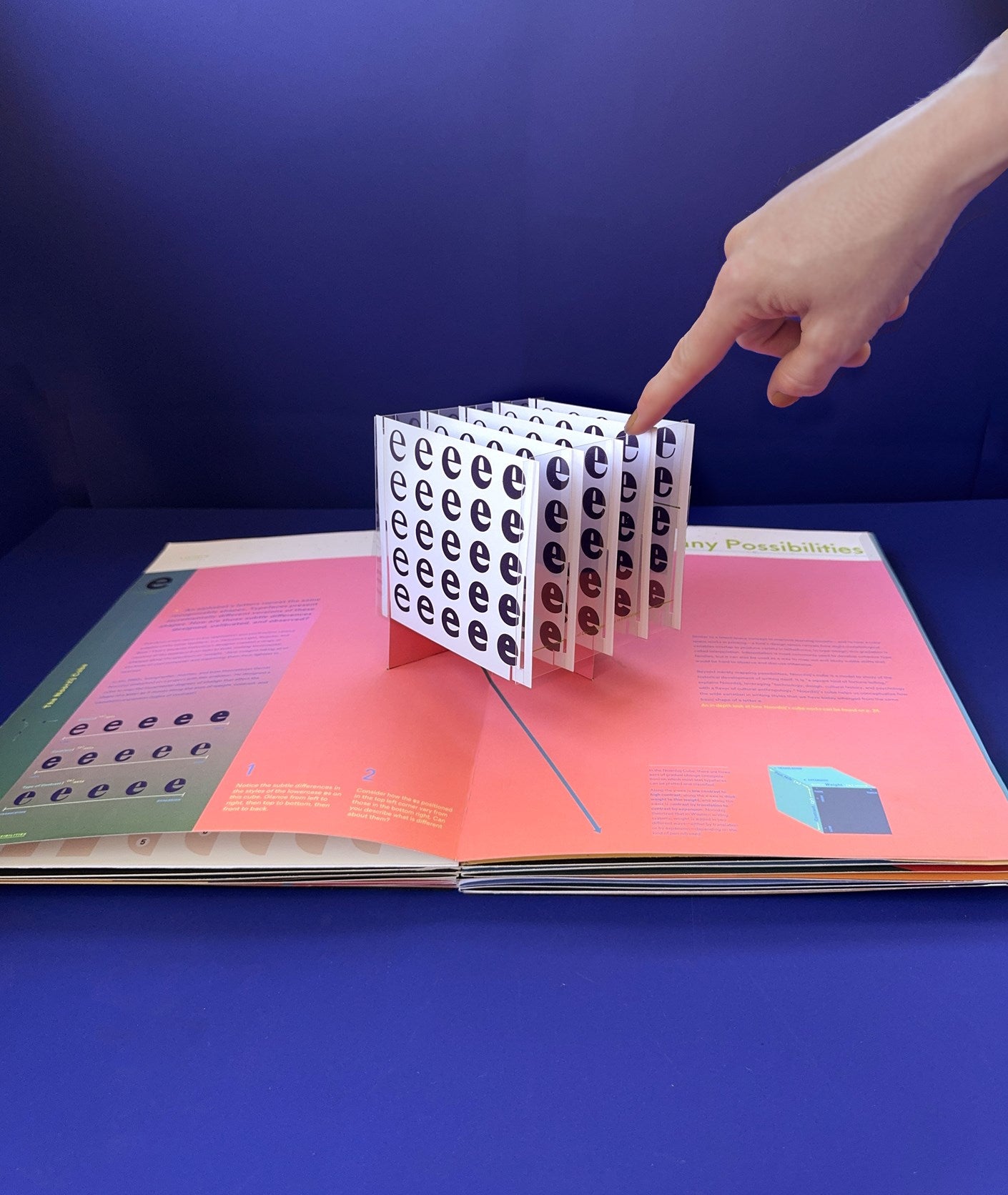 Alphabet in Motion:  How Letters Get Their Shape