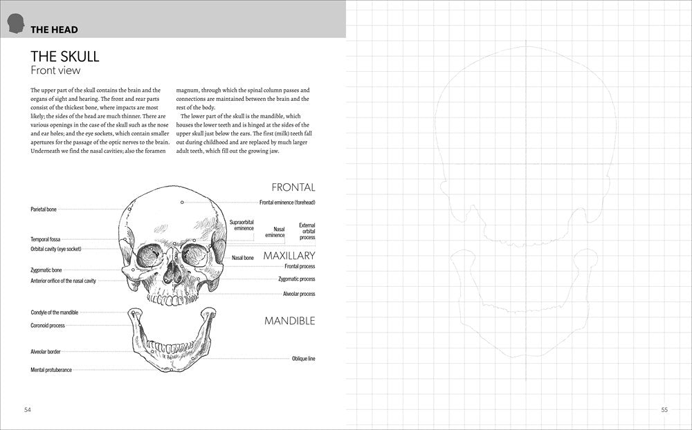 Anatomy for Artists: Complete with Draw-In Pages to Refine Your Skills