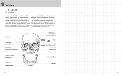 Anatomy for Artists: Complete with Draw-In Pages to Refine Your Skills