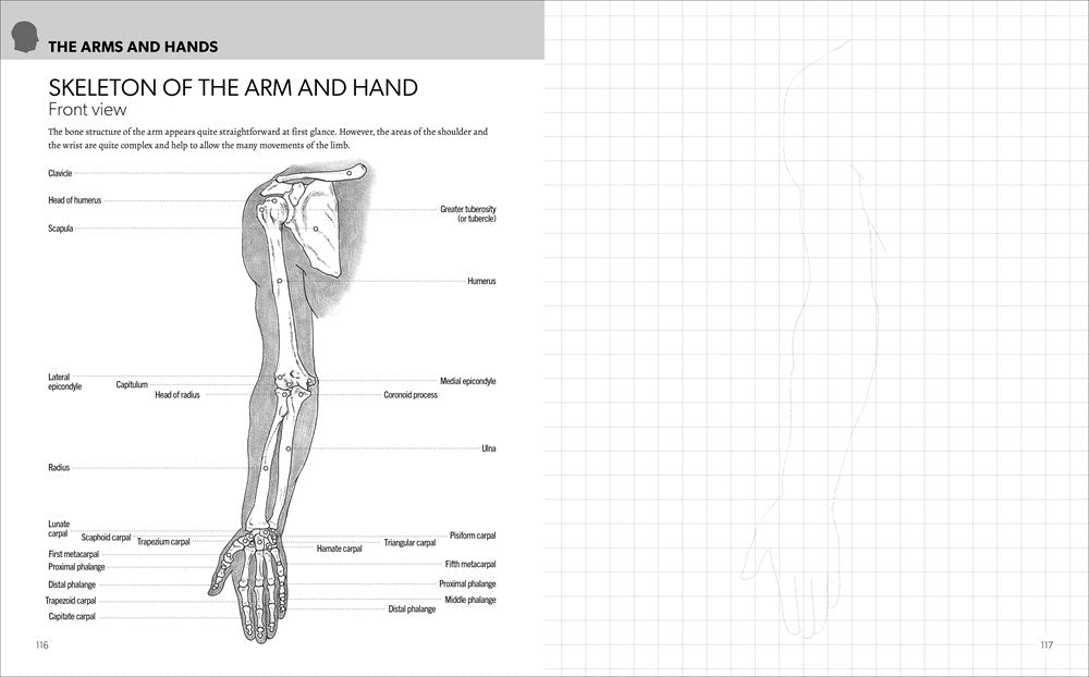 Anatomy for Artists: Complete with Draw-In Pages to Refine Your Skills